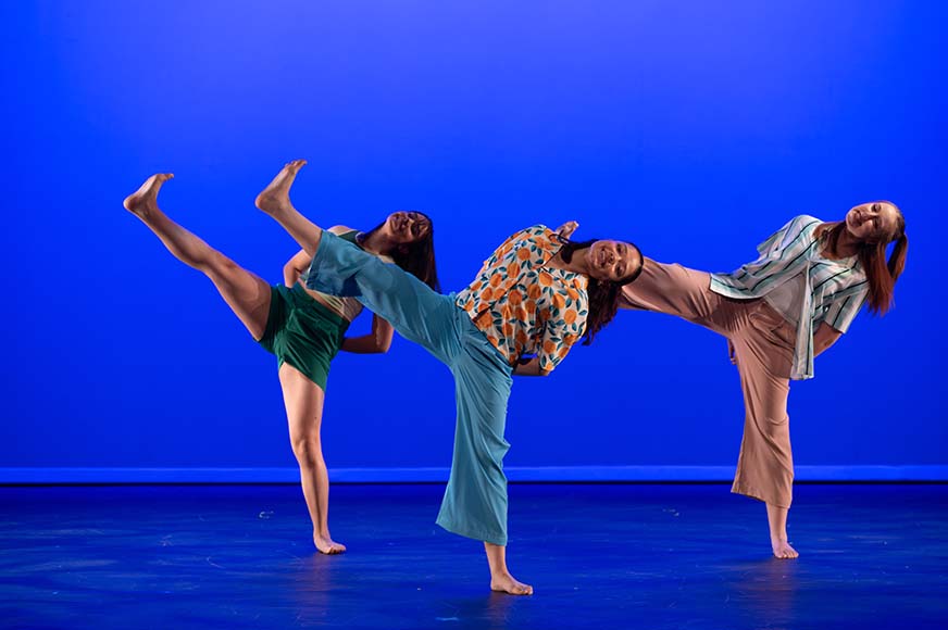 Performing arts dance